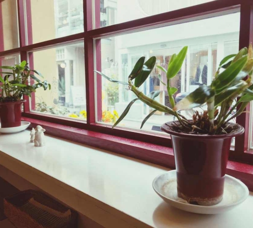 Покраска пластиковых окон 2